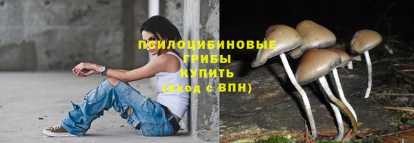 каннабис Алексин