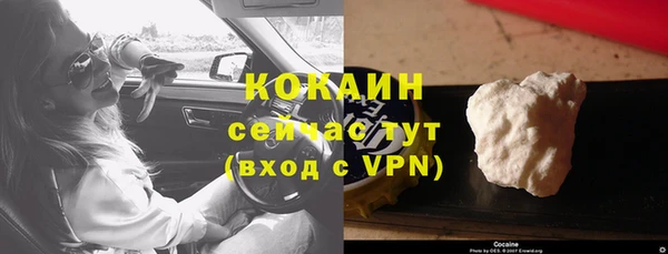 бошки Алзамай