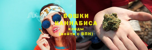молекула духа Михайлов