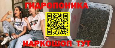 ПСИЛОЦИБИНОВЫЕ ГРИБЫ Гагарин