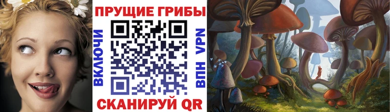 сколько стоит  Коломна  Галлюциногенные грибы Psilocybine cubensis 