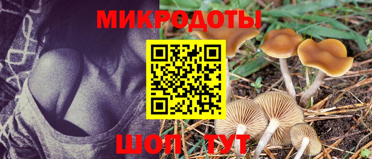 Псилоцибиновые грибы мухоморы  Галлюциногенные грибы Psilocybe  Вход с VPN  Коломна 