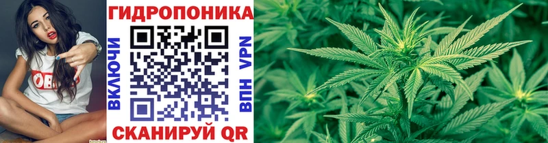 блэк спрут ONION  Коломна  Бошки Шишки White Widow 